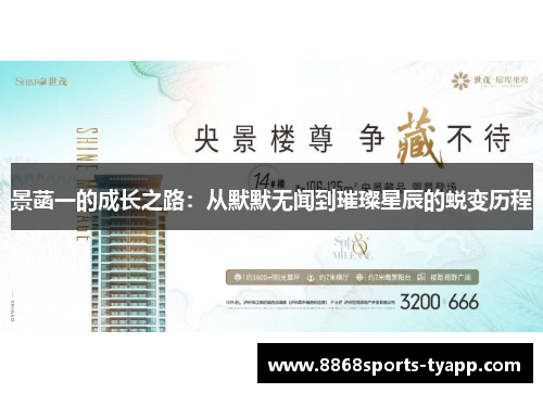 景菡一的成长之路：从默默无闻到璀璨星辰的蜕变历程